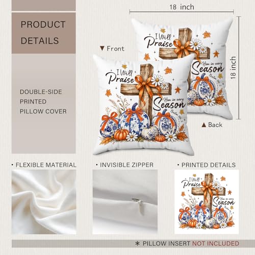 Fall Chinoiserie Pumpkin Christian Cross Throw Pillow Covers 18x18 - color: Pumpkin-1
