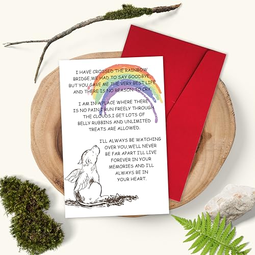 Sympathy Card for Loss of Pet Dog, Pet Loss Cards,Rainbow Bridge Condolence Card, Bereavement Card for Dog Owner, Doggy Bereavement Cards for Family Friends Husband Wife - color: Dog Loss