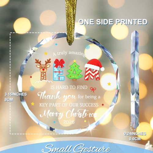 Christmas Team Gifts for Employees 2026, Best Team Glass Ornaments - style: Team