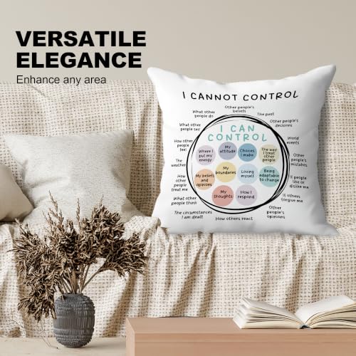 Circle of Control Mental Health Pillow Covers 18x18, Therapy Office Decor, I Can and Cannot Control Decorative Throw Pillow Covers for Classroom Office - color: Circle of Control-4