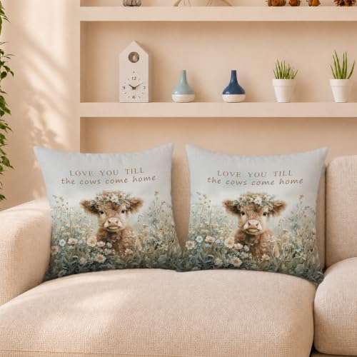 Vintage Highland Cow Pillow Cover 18x18 Inch Set of 2 - color: Highland Cow-7