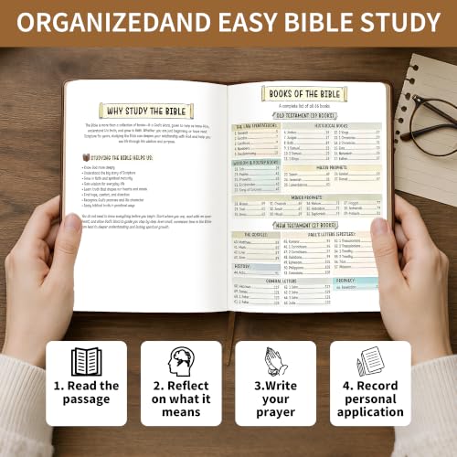 Bible Study Guide for Men & Women, Book-by-Book Overview of All 66 Books
