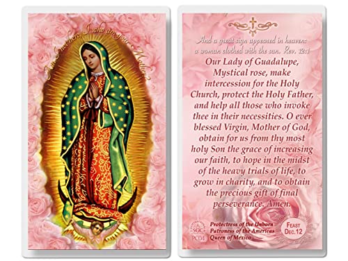 Our Lady of Guadalupe Laminated Prayer Cards pack of 20