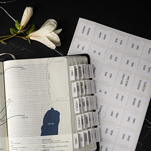 DiverseBee Laminated Bible Tabs for Women and Men (Magnolia) - color: Magnolia