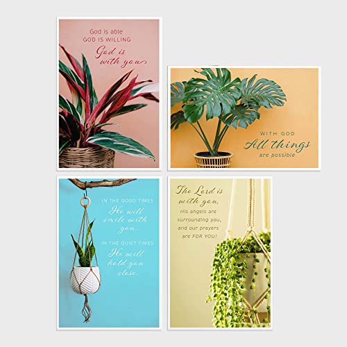 DaySpring - Encouragement - God is with You - 4 House Plant Designs Assortment with Scripture - 12 Encouragement Boxed Cards & Envelopes (U0064)