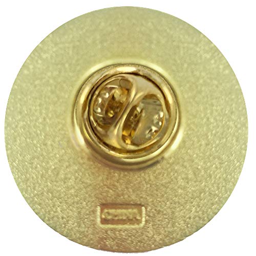 SHOP AWARDS AND GIFTS Science Achievement Pins - style: In Honor of Scientific Achievement