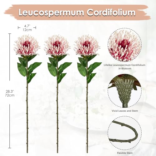 Hollyone 3Pcs Artificial Flowers Mums Spider Mum Flower 28.3'' Long Stem Fake Chrysanthemum Flowers Leucospermum Cordifolium Arrangement Faux Pincushion Flowers Bouquet for Home Decor Red & White - color: Red & White