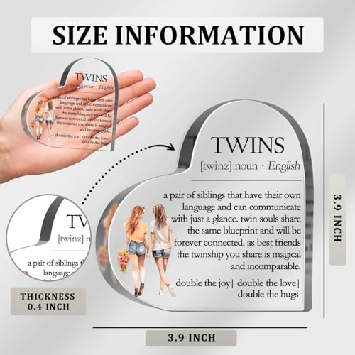 Sister Gifts for Women, Thank You Gifts for Twins Sister Bestie, Birthday Friendship Gifts, Inspirational Desk Decorative Sign for Home Office, Twins Definition Plaque - style: Twins