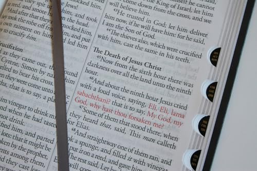 KJV Holy Bible, Giant Print Thinline Edition, Large Format, Gray Premium Imitation Leather, Red Letter, Thumb Index, Ribbon Marker (KJV Large Size Giant Print Editions)