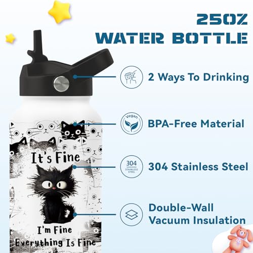 Cat Gifts for Women, 25oz Fine Cat Water Bottle with 2 Lid & Straw - I'm Fine Black Cats Insulated Water Bottles, BPA-free Leakproof Sports Waters Bottle for School Travel, Gift Cup for Cats Lover - color: Fine cat