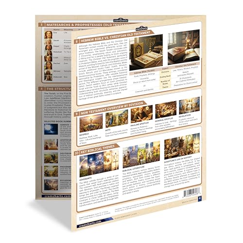 Cramcharts Bible Characters Guide | Old & New Testament Study Chart Set