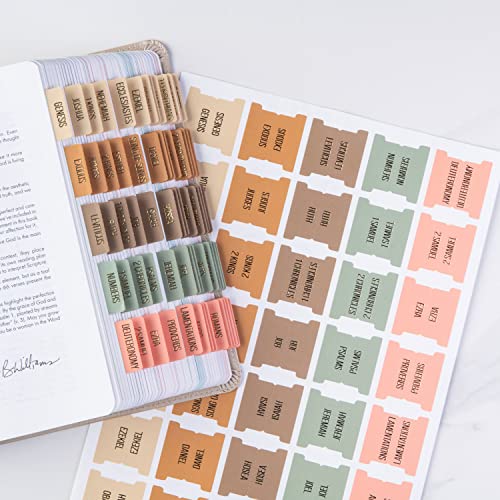 DiverseBee Laminated Bible Tabs with Gold Embossed Lettering (Meadow) - color: Meadow