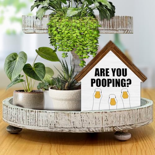 Funny Goose Bathroom Decor, Are You Pooping House Shaped Wooden Sign - color: duck
