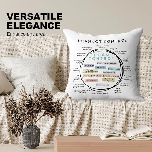 Circle of Control Mental Health Pillow Covers 18x18, Therapy Office Decor, I Can and Cannot Control Decorative Throw Pillow Covers for Classroom School Counselor Office - color: Circle of Control