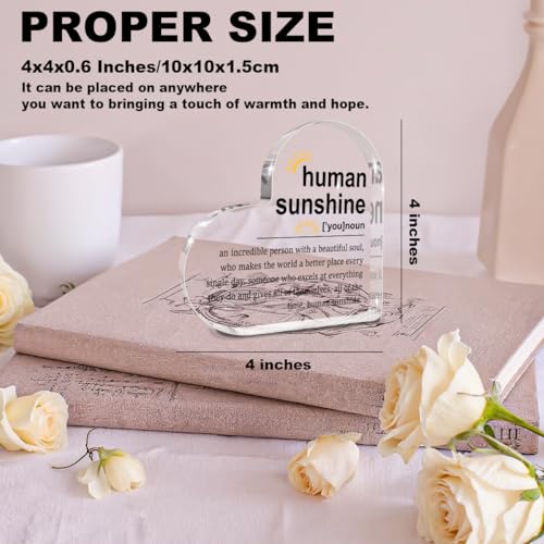 Human Sunshine Motivational Gift for Women Men, Employee Appreciation - color: Human Sunshine
