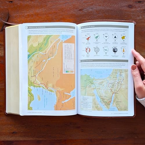 Personalized NLT Super Giant Print Bible – Brown LeatherLike | Filament Enabled | Custom Engraved Name | New Living Translation | 16-Point Super Giant Print | Red Letter | Smyth-Sewn Binding (Name Only)