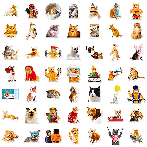 Cat Stickers for Kids Teens Girls Adults, 100 Pcs Cute Cat Stickers, Vinyl Waterproof Animal Sticker for Water Bottle, Laptop, Luggage, Phone, Skateboard - color: Cat