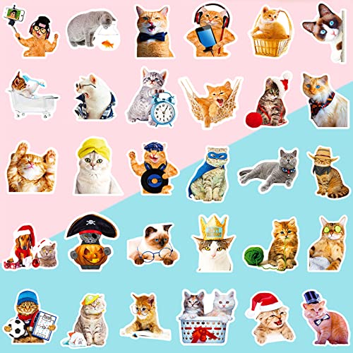 Cat Stickers for Kids Teens Girls Adults, 100 Pcs Cute Cat Stickers, Vinyl Waterproof Animal Sticker for Water Bottle, Laptop, Luggage, Phone, Skateboard - color: Cat