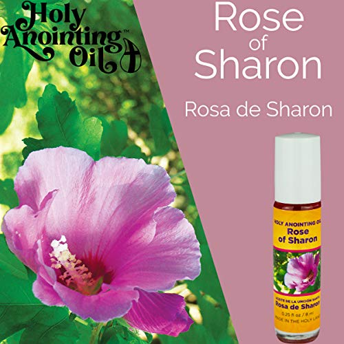 Logos Trading Post Rose of Sharon Anointing Oil Roll On Bottles, 6 Pcs - color: Rose of Sharon