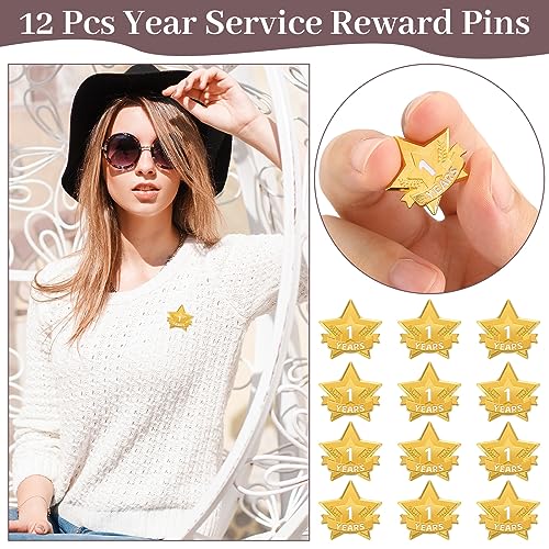 Tigeen 12 Pcs Year Service Reward Pins Star Enamel Pins, 1 Year - style: 1 Year