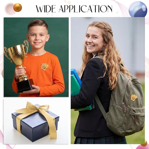 Knitgrip Award Lapel Pins Bulk Academic Recognition Enamel Pins Honors Gift for Student Office Government Club Members - style: Spelling Bee