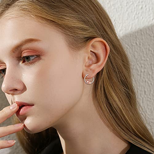 Fox/Pig/Mushroom/Cat Earrings Sterling Silver Cute Hoop Earrings Animal Jewelry Gifts for Women Daughter - style: pig