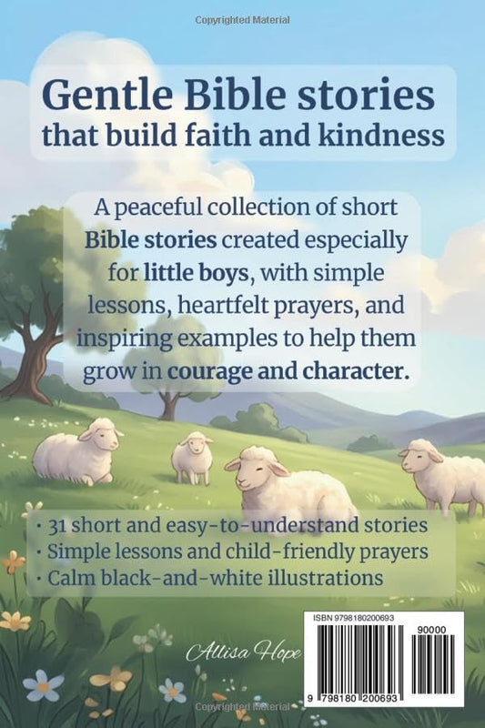 Bible Stories for Little Boys Ages 5–7: 31 Gentle Bible Stories with Simple Lessons, Prayers, Questions, and Pencil-Style Illustrations (31 Bible Stories for Kids)