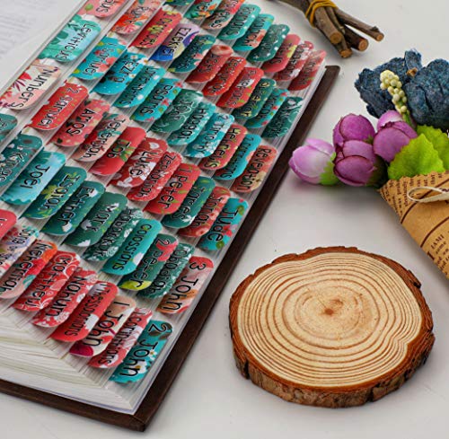 Teal Bible Tabs with Large Print for Women and Girl, 90 Bible Index tabs in Total, 66 tabs for Old and new Testament, Additional 24 Blank tabs (Teal) - color: Teal