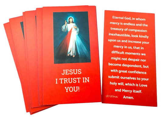 Divine Mercy Holy Cards Bulk Bundle Prayer Pack for School Set of 25