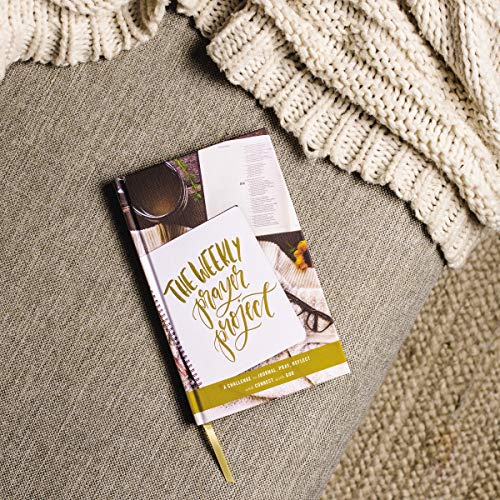 The Weekly Prayer Project: A Challenge to Journal, Pray, Reflect, and Connect with God (The Weekly Project Series)