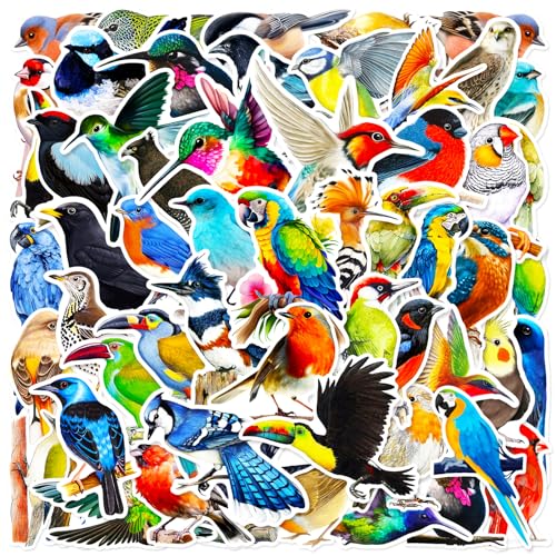 DothRayan 100 Pcs Birds Stickers Cute Bird Animals Stickers, Vinyl Waterproof Birds Sticker for Kids Teen Water Bottles Laptop Luggage Phone Skateboard Computer Refrigerators - color: Bird