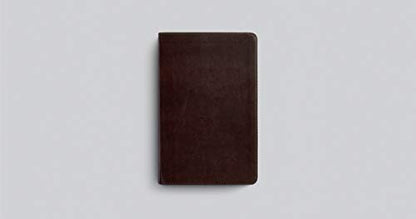 ESV Large Print Personal Size Bible (TruTone, Mahogany)