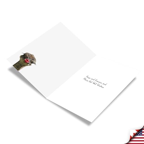 NobleWorks 1 Funny Get Well Card for Women Wild Kisses Ostrich Lips Humor Notecard with Envelope C9280GGWG - style: Wild Kisses - Ostrich