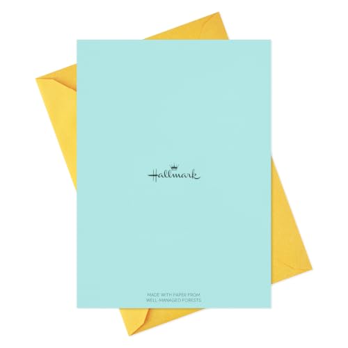 Hallmark Birthday Cards, Assorted 36-Pack (Cats, Lasers, Llamas, Donuts) - style: Cats, Lasers, Llamas, Donuts
