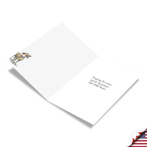 NobleWorks Funny Get Well Soon Card w/Envelope You Are Heeled C6359GWG - style: You Are Heeled