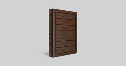 ESV Giant Print Personal Size Bible, Red Letter (TruTone, Brown, Engraved Mantel Design): Holy Bible, English Standard Version