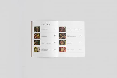 Fruitful: Grow Deep. Live Full. (A 6-Week Bible Study Guide for Small Groups and Personal Use with Discussion Questions, Application Prompts, and Removable Memory Verse Cards)