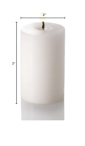 Richland® 2"x 3" Pillar Candles White Unscented Set of 20 - color: White, size: Small