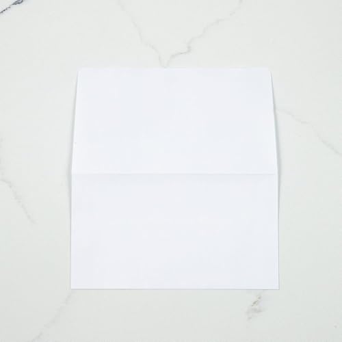 LUXPaper #6 3/4 Remittance Envelopes | 3 5/8" x 6 1/2" | Bright White | 24lb. Text | 50 Qty