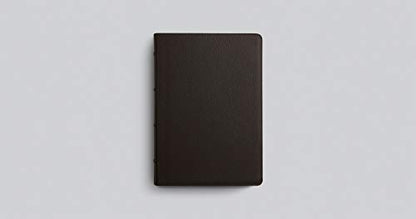 ESV Single Column Journaling Bible, Large Print (Buffalo Leather, Deep Brown): Holy Bible, English Standard Version