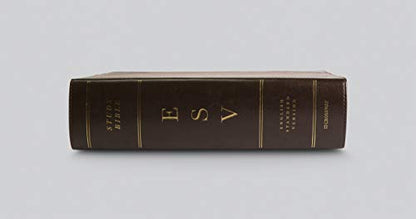 ESV Study Bible, Large Print (TruTone, Brown/Cordovan, Portfolio Design)