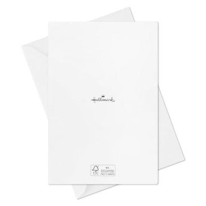 Hallmark Birthday Cards with Envelopes, Assorted 20-Pack (It's Your Day!)