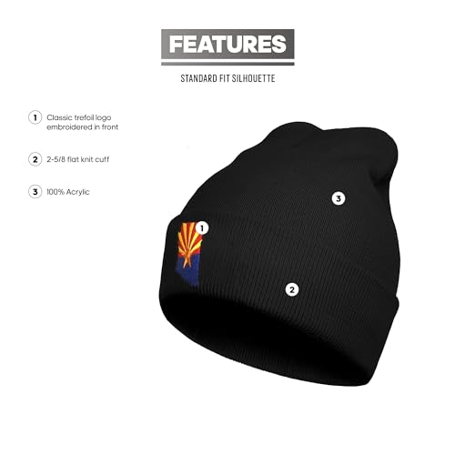 Embroidery Beanie for Men & Women, Multi-Season Stretch Skull Knit Hats, Winter Warm Beanie - color: Arizona