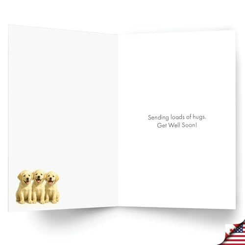 NobleWorks Get Well Paper Card with 5 x 7 Inch Envelope (1 Card) Yellow Lab Winter Pups - Pickup C11102JGWG - style: Yellow Lab Winter Pups - Pickup