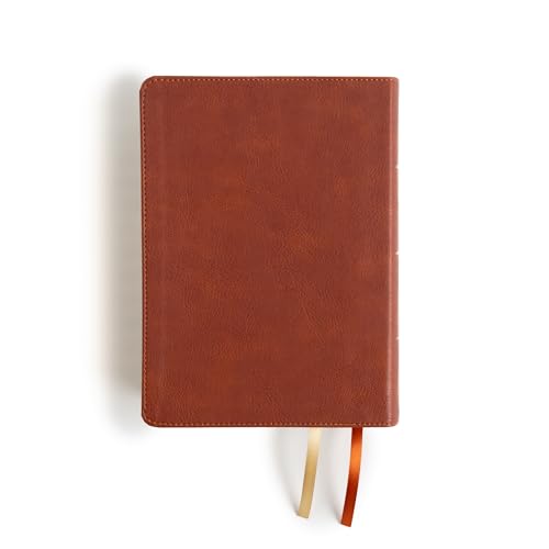CSB Study Bible, Personal Size, Digital Study Edition, Burnt Sienna LeatherTouch, Red Letter, Study Notes and Commentary, Illustrations, Articles, Word Studies, Outlines, Timelines
