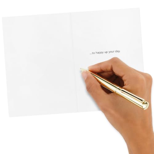 Hallmark Thinking of You Cards, Assorted 16-Pack (Modern Flowers)