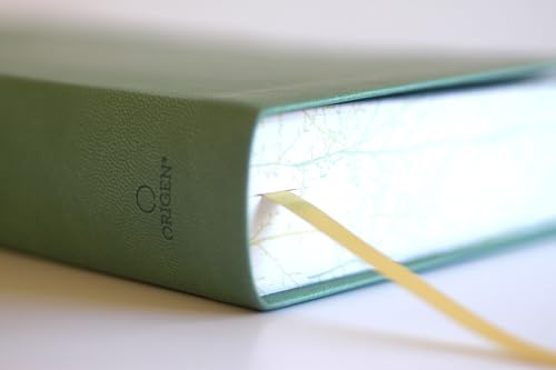 Biblia RVR 1960 Letra gigante símil piel verde con pájaros (Edición cantos pintados) / Spanish Bible RVR 1960 Giant Print Handy Size Leathersoft Green (Spanish Edition)