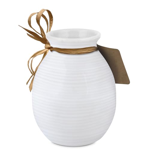 Lighthouse Christian Products You Make The World Better - Ephesians 1:16 - White 5.5 x 4 Inch Ceramic Bud Flower Vase - style: World Better