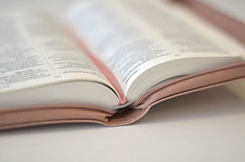 NIV Pocket Soft-tone Bible 3