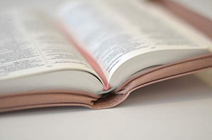 NIV Pocket Soft-tone Bible 3